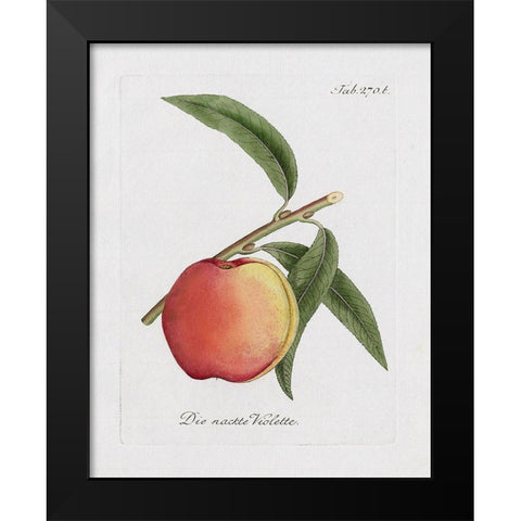 Peachy Keen I Black Modern Wood Framed Art Print by Donovan, Kelly