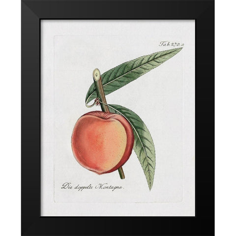 Peachy Keen II Black Modern Wood Framed Art Print by Donovan, Kelly