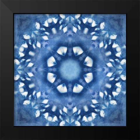 Navy Nature Kaleidoscope III Black Modern Wood Framed Art Print by Nan