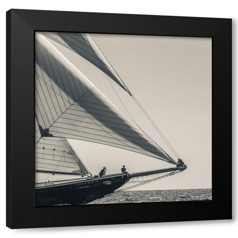 Catching the Sea Breeze Black Modern Wood Framed Art Print by Delimont, Danita