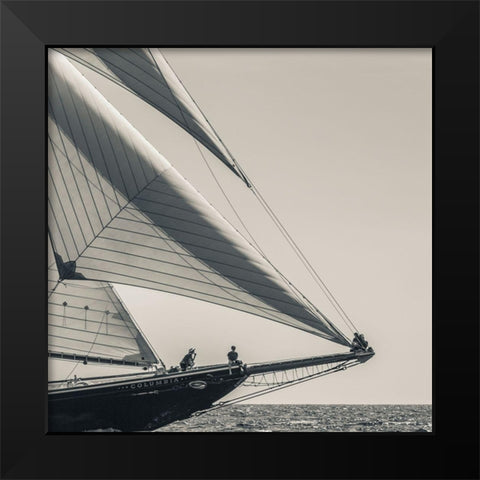 Catching the Sea Breeze Black Modern Wood Framed Art Print by Delimont, Danita