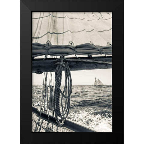 Day at the Cape Black Modern Wood Framed Art Print by Delimont, Danita
