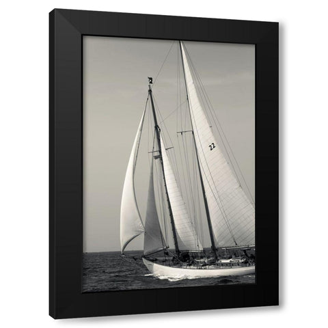 Fair Wind Black Modern Wood Framed Art Print by Delimont, Danita
