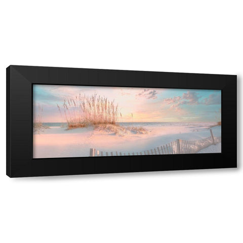 Through the Sea Grass Black Modern Wood Framed Art Print with Double Matting by Calascibetta, Mike