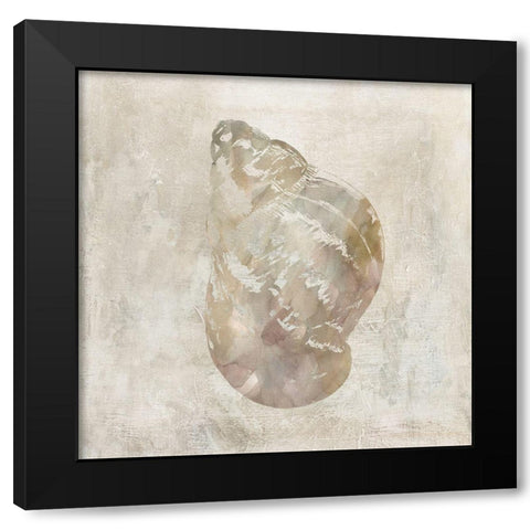 Seashell Illusion IV Black Modern Wood Framed Art Print with Double Matting by Robinson, Carol