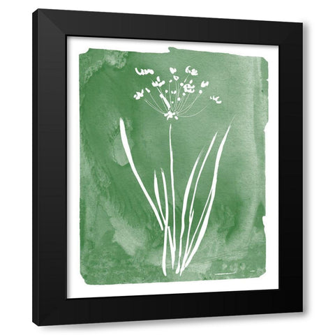 Green Botanical II Black Modern Wood Framed Art Print with Double Matting by Donovan, Kelly