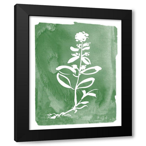 Green Botanical III Black Modern Wood Framed Art Print by Donovan, Kelly