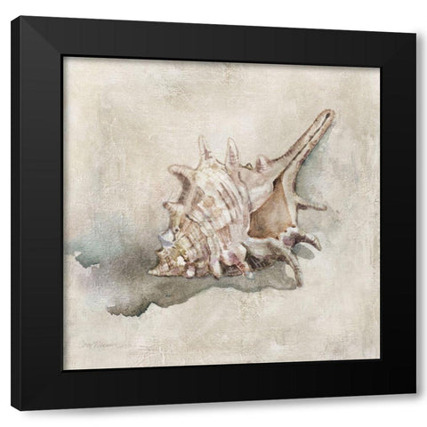 Seashell Textures I Black Modern Wood Framed Art Print with Double Matting by Robinson, Carol