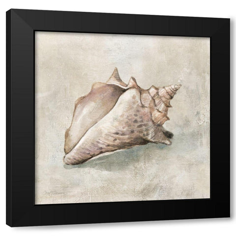 Seashell Textures II Black Modern Wood Framed Art Print by Robinson, Carol