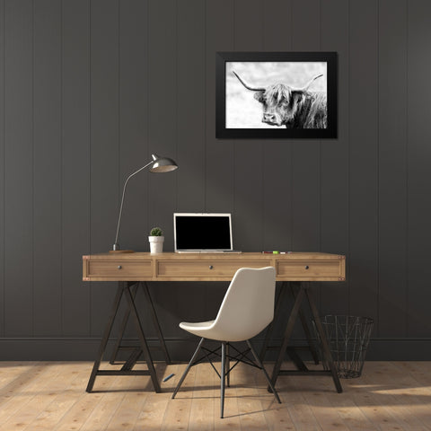 Hairy Highland Hazy Day Black Modern Wood Framed Art Print by Delimont, Danita