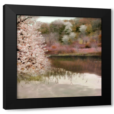 Fell the Joy of Spring Black Modern Wood Framed Art Print by Weisz, Irene