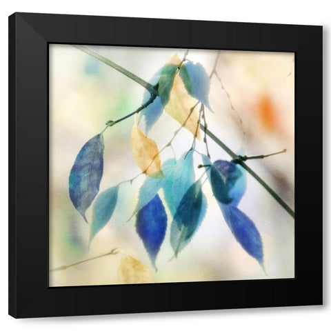Colors for Joy I Black Modern Wood Framed Art Print by Weisz, Irene