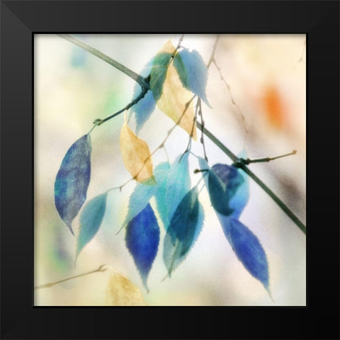 Colors for Joy I Black Modern Wood Framed Art Print by Weisz, Irene