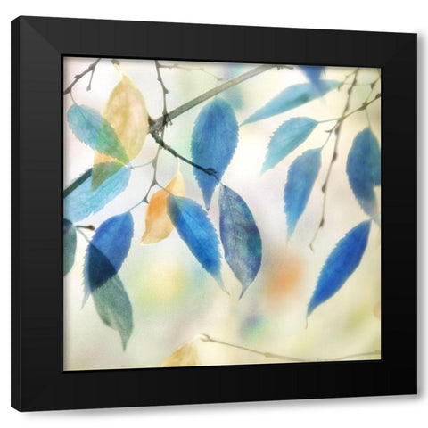 Colors for Joy II Black Modern Wood Framed Art Print with Double Matting by Weisz, Irene
