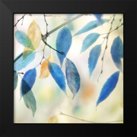 Colors for Joy II Black Modern Wood Framed Art Print by Weisz, Irene