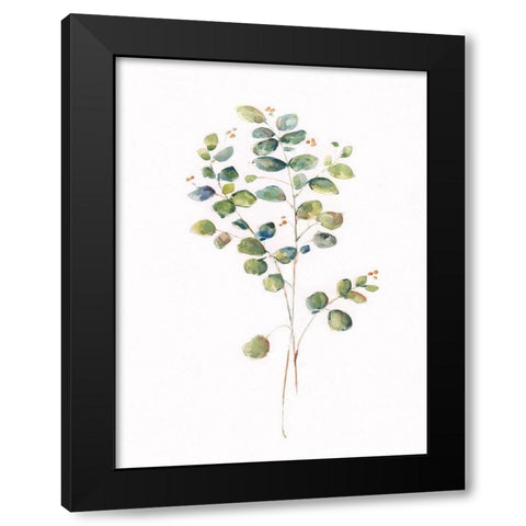 Eucalyptus I Black Modern Wood Framed Art Print with Double Matting by Swatland, Sally