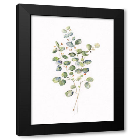 Eucalyptus II Black Modern Wood Framed Art Print with Double Matting by Swatland, Sally