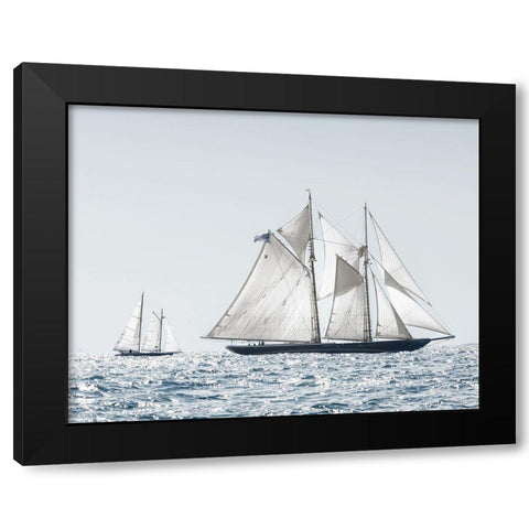 Cape Ann Sails Black Modern Wood Framed Art Print with Double Matting by Delimont, Danita