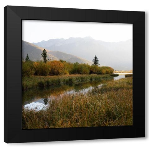 Fall Marshland Black Modern Wood Framed Art Print by Robinson, Carol