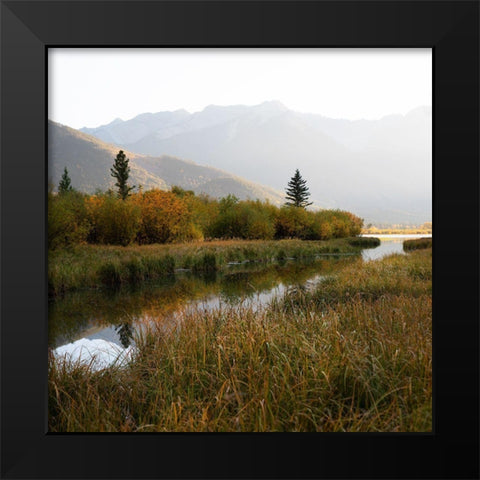 Fall Marshland Black Modern Wood Framed Art Print by Robinson, Carol
