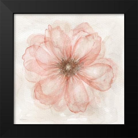 Pink Posy I Black Modern Wood Framed Art Print by Robinson, Carol