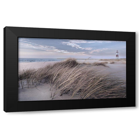 Winter Wind Black Modern Wood Framed Art Print with Double Matting by Calascibetta, Mike