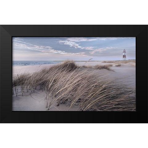 Winter Wind Black Modern Wood Framed Art Print by Calascibetta, Mike