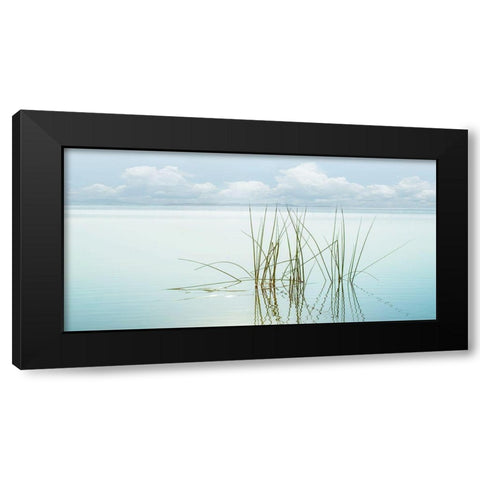 Reflections Black Modern Wood Framed Art Print by Calascibetta, Mike