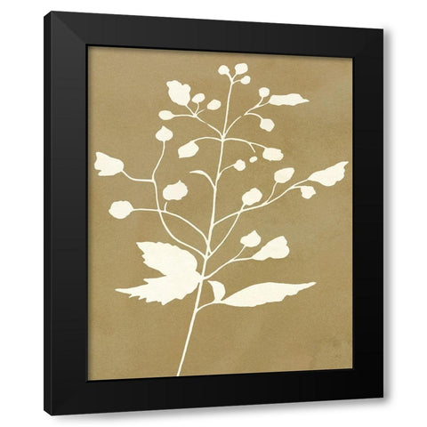 Honey Botanical II Black Modern Wood Framed Art Print by Jill, Susan