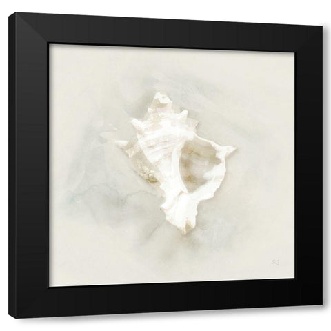 Soft Sand and Shell I Black Modern Wood Framed Art Print with Double Matting by Jill, Susan