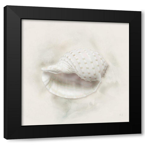 Soft Sand and Shell IV Black Modern Wood Framed Art Print with Double Matting by Jill, Susan