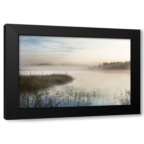 A New Day Black Modern Wood Framed Art Print by Weisz, Irene