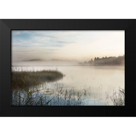 A New Day Black Modern Wood Framed Art Print by Weisz, Irene