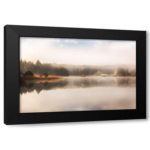 Cosy Nature Black Modern Wood Framed Art Print with Double Matting by Weisz, Irene