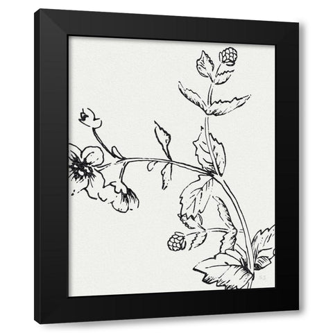 Botanical Study II Black Modern Wood Framed Art Print by Jill, Susan