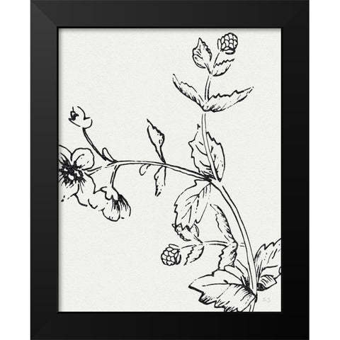 Botanical Study II Black Modern Wood Framed Art Print by Jill, Susan