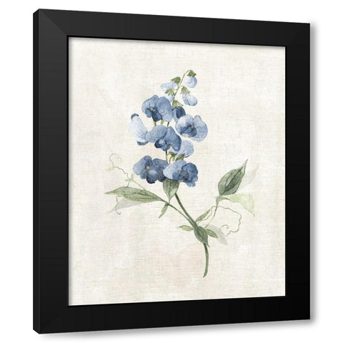 Farmhouse Periwinkle II Black Modern Wood Framed Art Print by Robinson, Carol