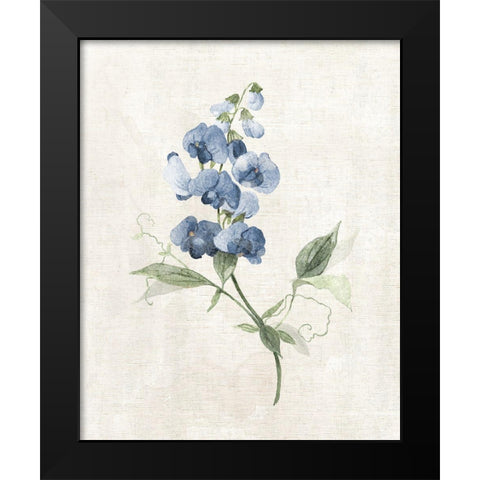 Farmhouse Periwinkle II Black Modern Wood Framed Art Print by Robinson, Carol