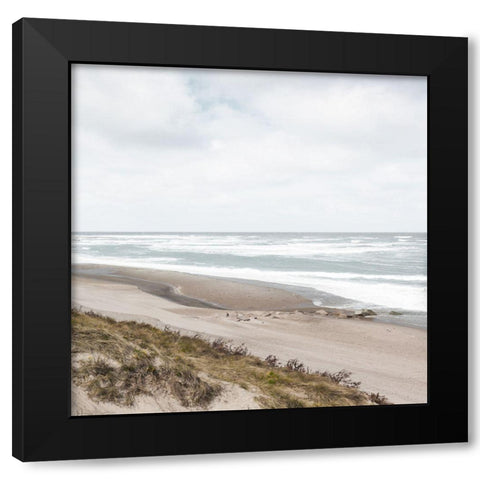 Windswept Black Modern Wood Framed Art Print by Delimont, Danita