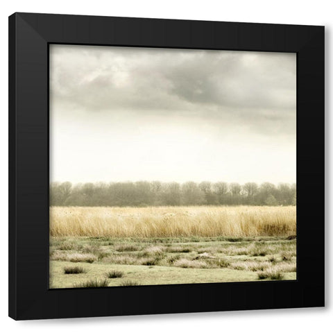 Meadowland Black Modern Wood Framed Art Print with Double Matting by Delimont, Danita