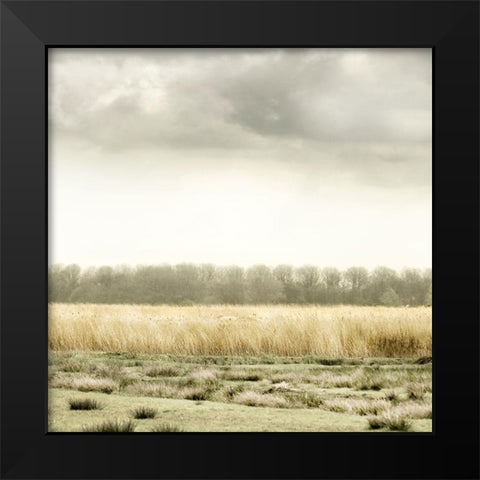 Meadowland Black Modern Wood Framed Art Print by Delimont, Danita