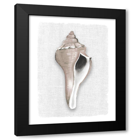 Sea Front Shell II Black Modern Wood Framed Art Print with Double Matting by Robinson, Carol