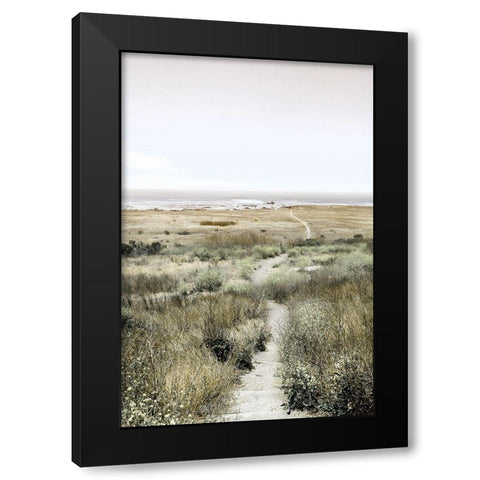 Footpath to Paradise Black Modern Wood Framed Art Print by Delimont, Danita