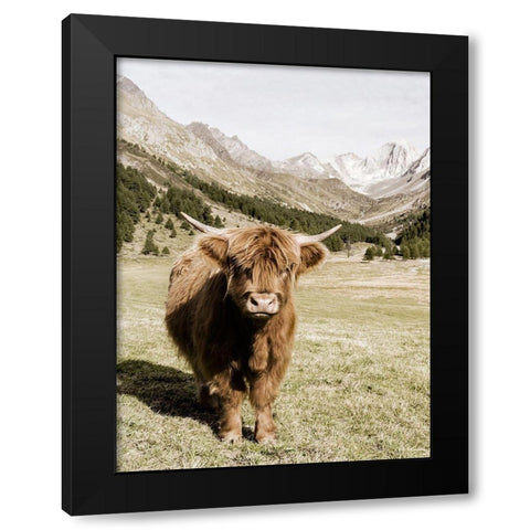 Oetztal Alps Black Modern Wood Framed Art Print with Double Matting by Delimont, Danita