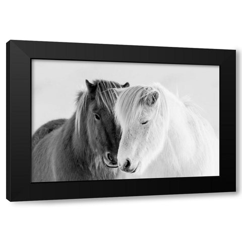 South Iceland Black Modern Wood Framed Art Print by Delimont, Danita