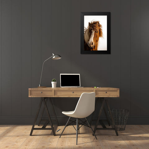 Sunset Light Black Modern Wood Framed Art Print by Delimont, Danita