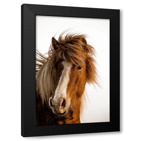 Sunset Light Black Modern Wood Framed Art Print with Double Matting by Delimont, Danita