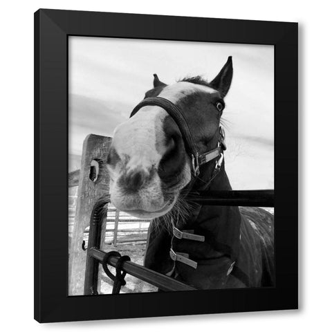 Argenteuil Black Modern Wood Framed Art Print with Double Matting by Jill, Susan