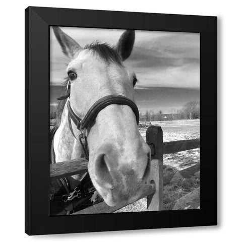 Caen Black Modern Wood Framed Art Print with Double Matting by Jill, Susan