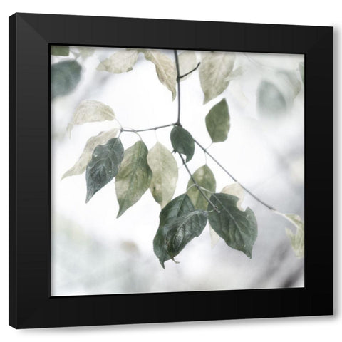 Quiet Green I Black Modern Wood Framed Art Print by Weisz, Irene